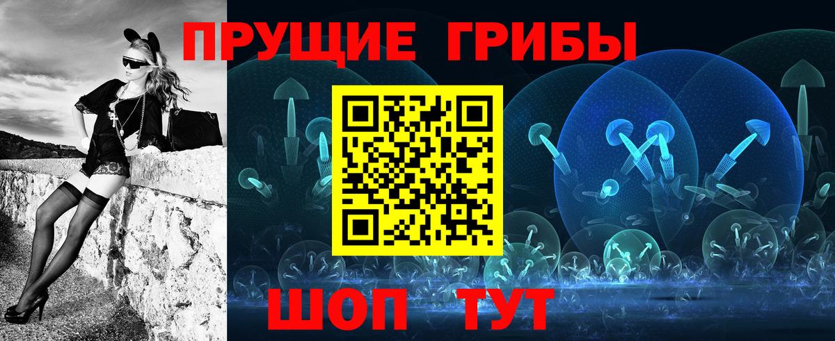 Галлюциногенные грибы MAGIC MUSHROOMS  как найти   Ликино-Дулёво  Вход с VPN  Псилоцибиновые грибы Psilocybe 